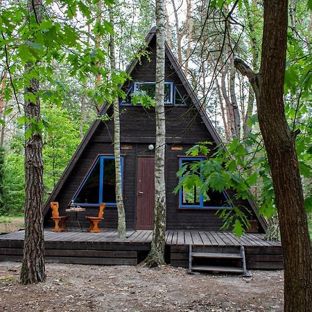 Domki W Wildze Skurcza Exteriér fotografie
